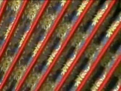 Accordion For Sale-Button Accordions For Sale Canada