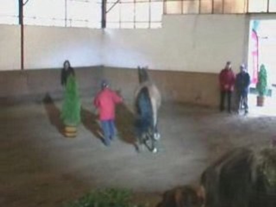 Idem de B'neville Besancon 2009