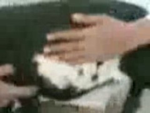 Miracle - Mouton avec le nom d'Allah