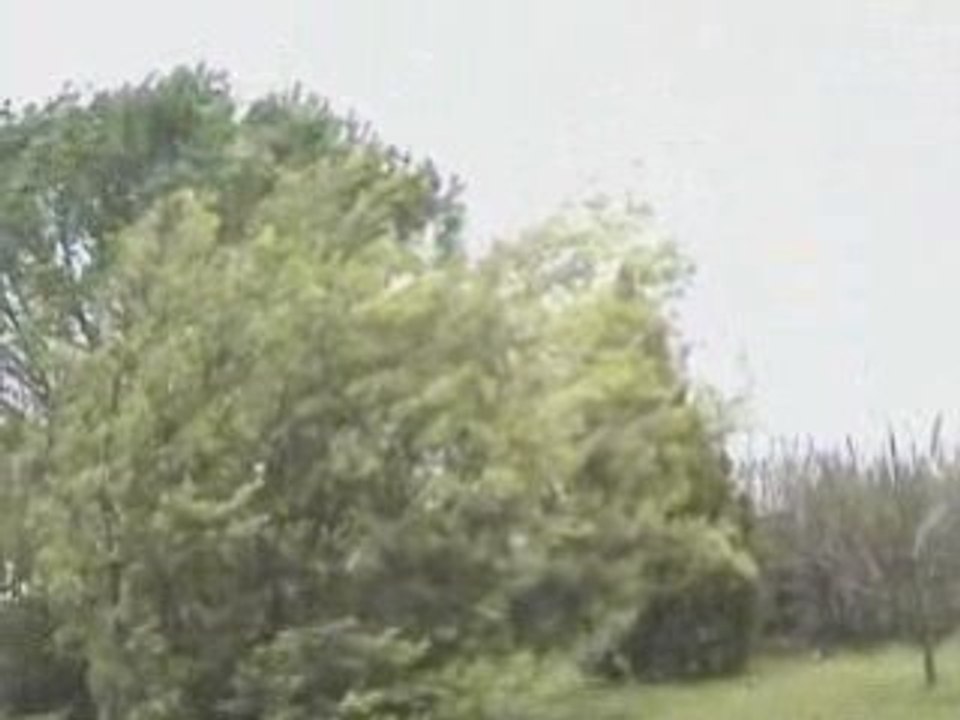 TEMPETE