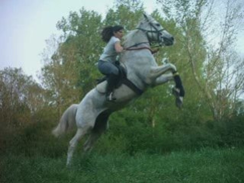 Montage classe manque 7 p a cheval
