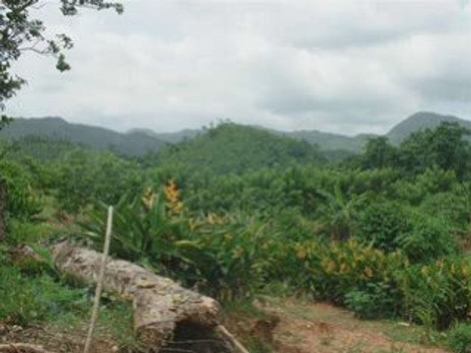 Adinony ianao