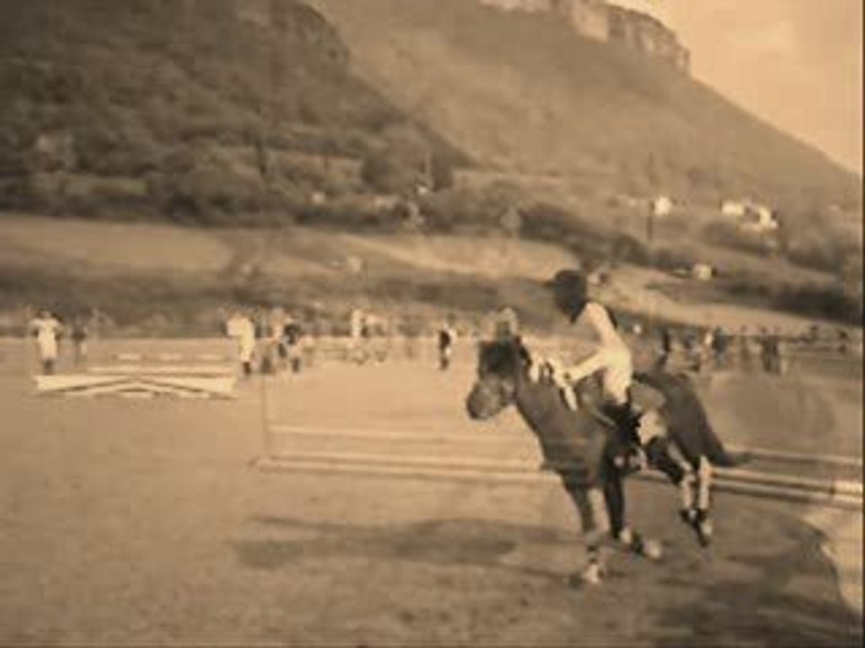 Chevaux