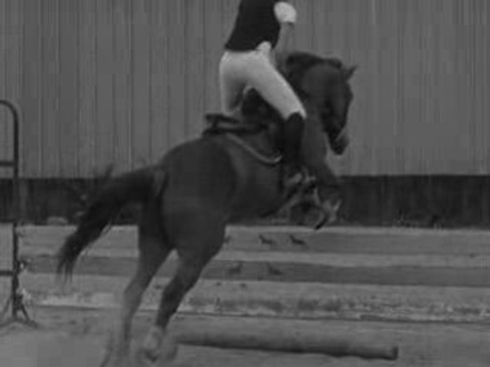 Plus Que Tout, A Jamais. ( L )