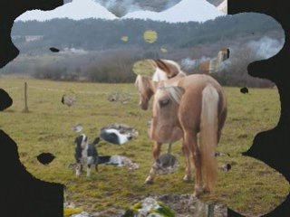 8 décembre 2007