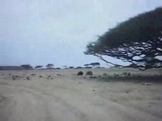 balade en quad à Djibouti Partie 4