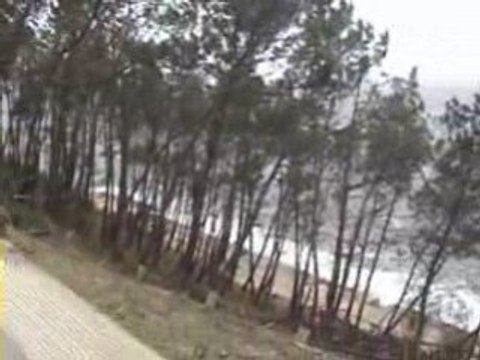 tempête 24 janvier 2009 bassin arcachon pyla la teste