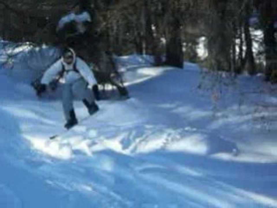 puy st vince grizou tranquille en foret