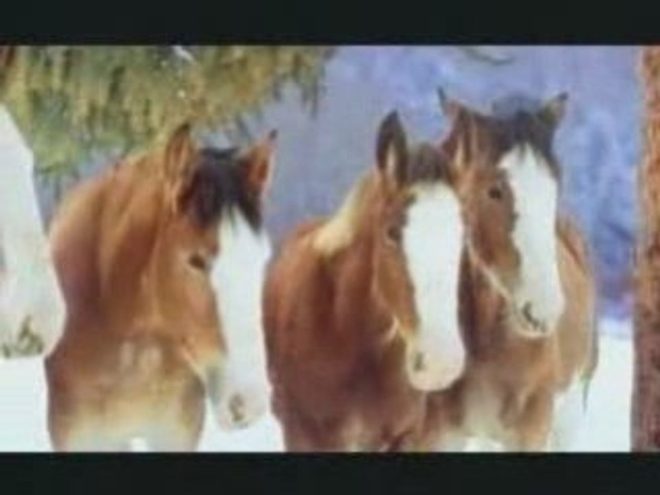 Budweiser