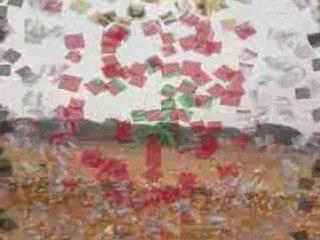 Ait mimoun