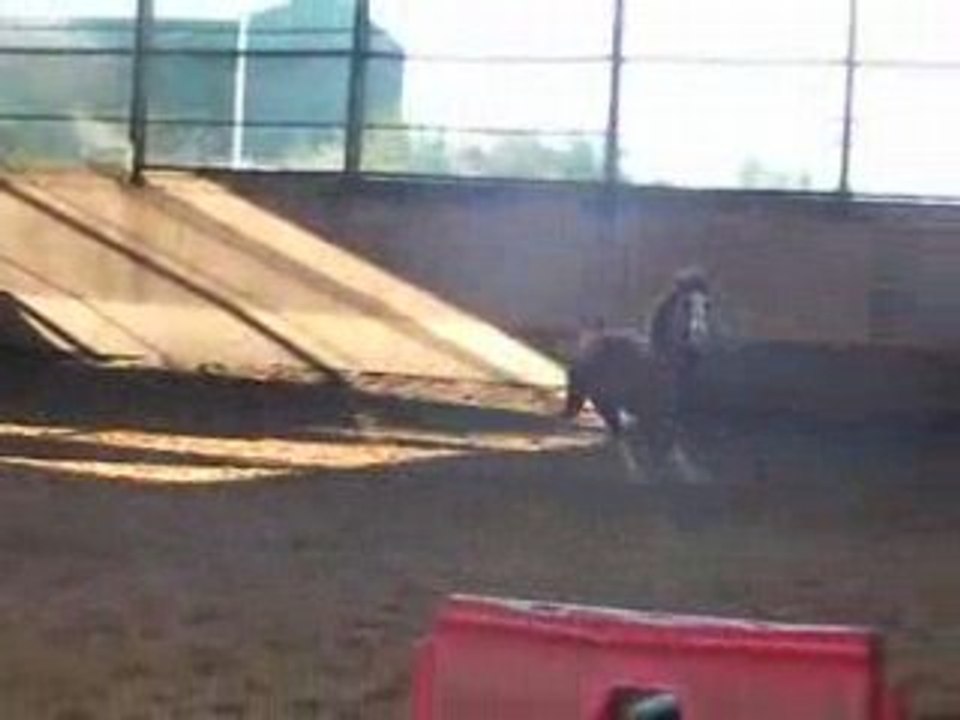 Angel galop