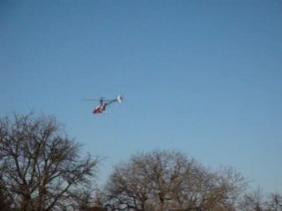 Trex 450s gf 1ers loops