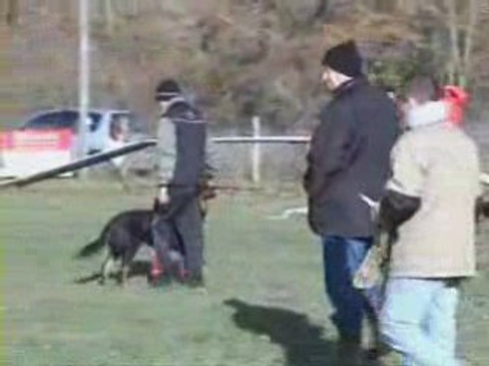 Concours st brisson 2008