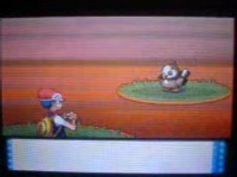 Etourmi Shiney + Herbe shiney *3