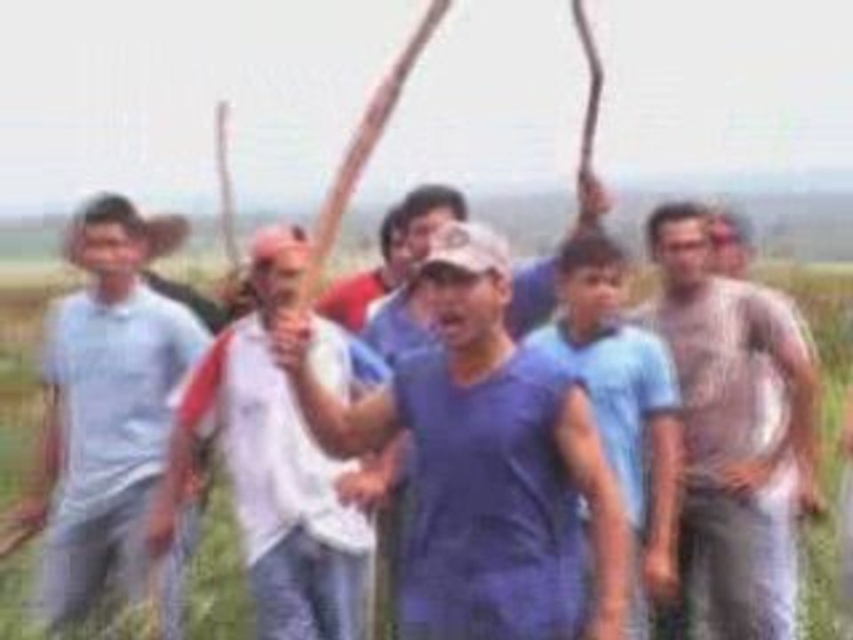 Soy Kills!