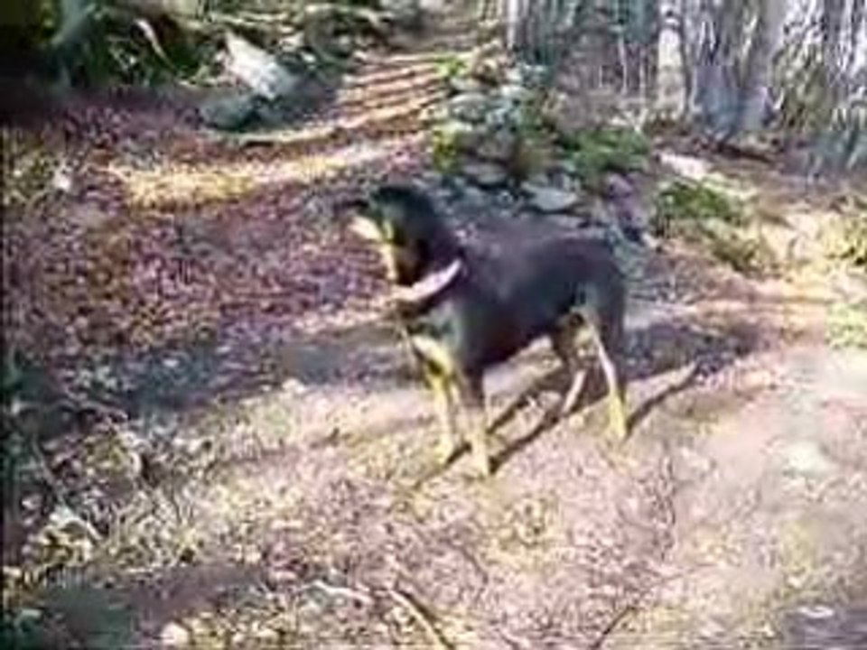 atlas dans le pilat