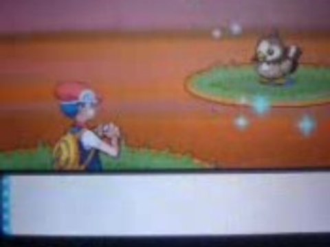 Etourmi shiney *4 + Herbe shiney