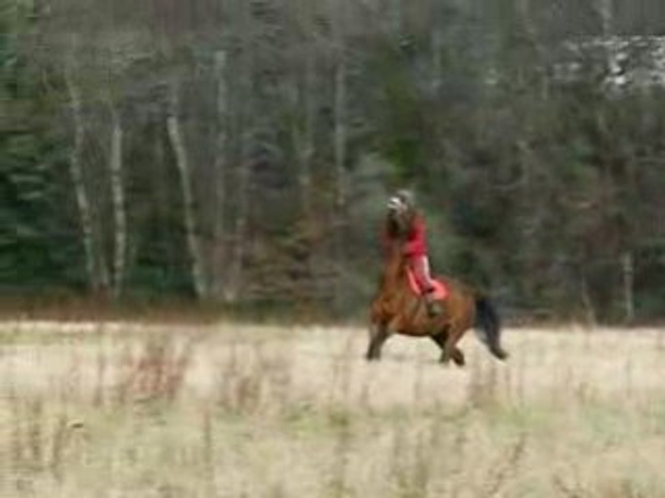 Le 24 janvier 2009