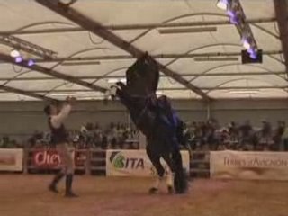 Cheval Passion amazone renversee