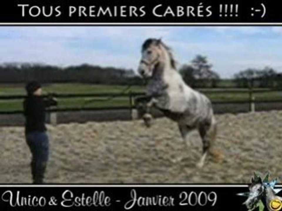 Unico, Jan. 2009, Tous 1ers cabrés !!