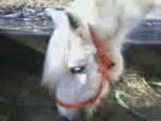 Trop bonne journée 040