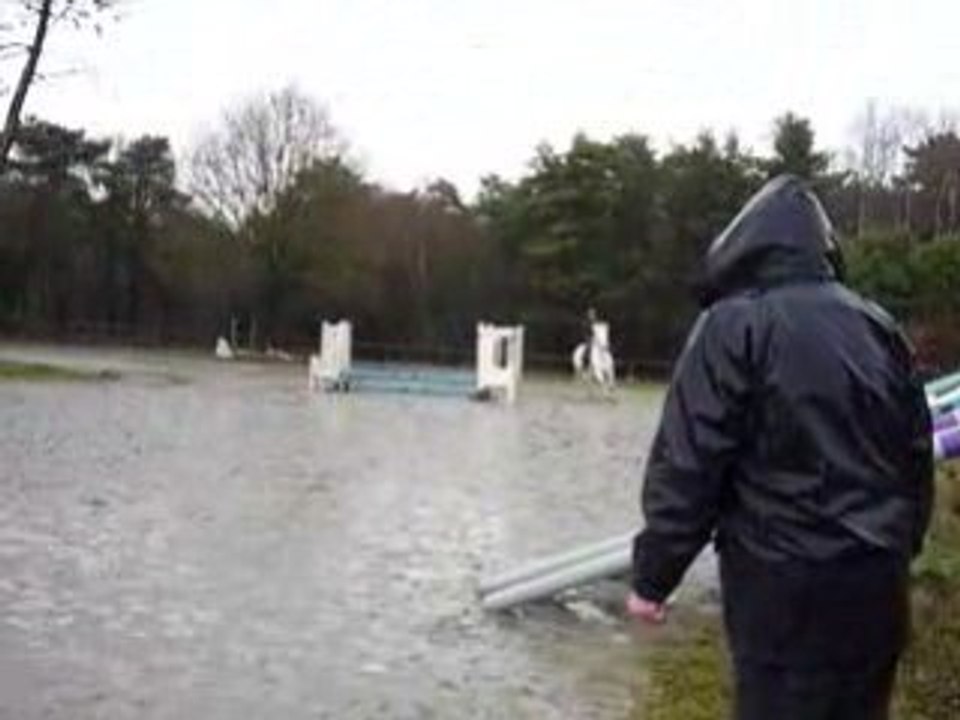 moi et Hercule, challenge le 25 Janvier