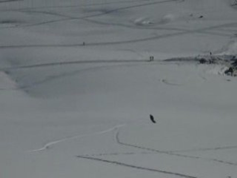 steff snow