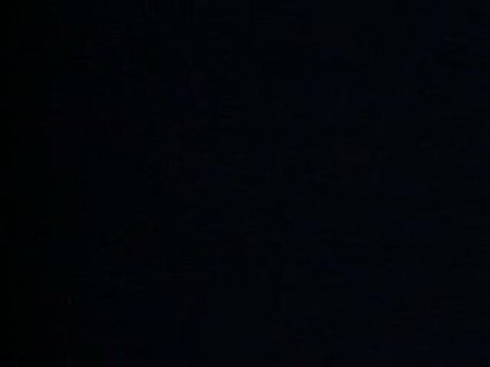 dispute entre chats (dans le noir)