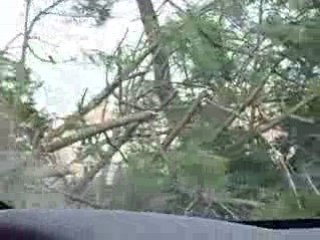 Parentis en Born après la Tempête 2