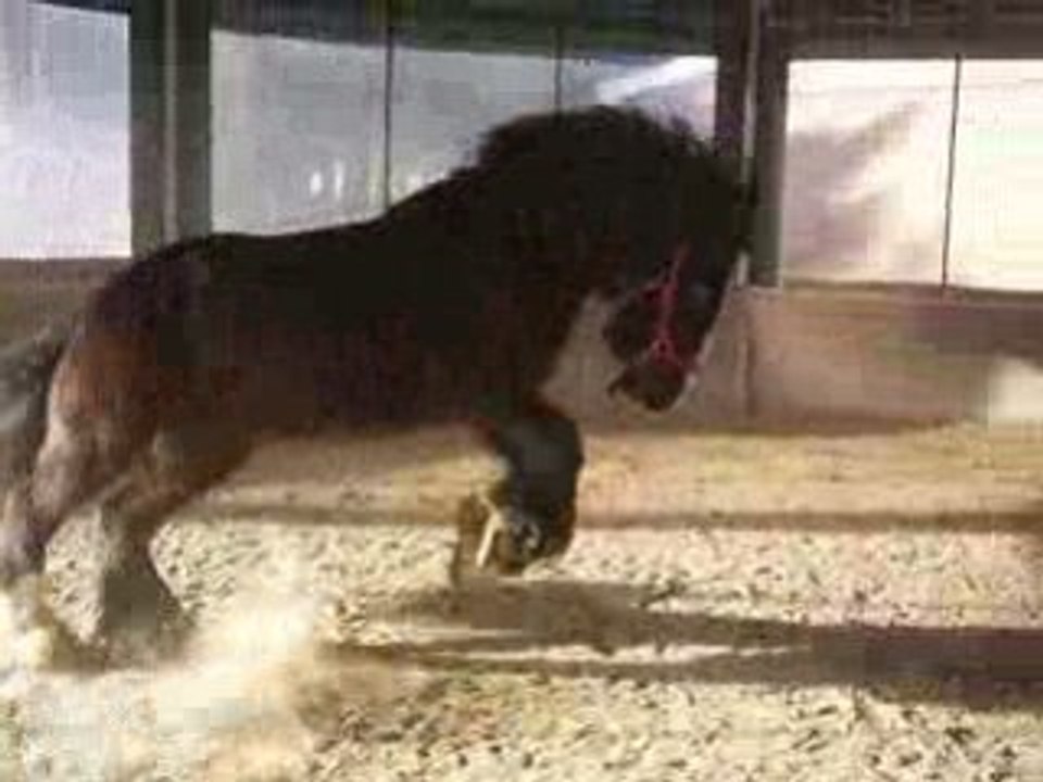 Chouchou qui pète son cable !!