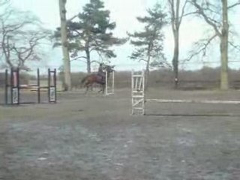 Polyn et Pirate, Pirate qui se défoule ! ^^