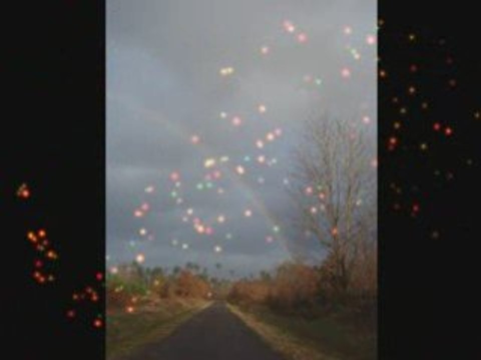 Photos de la tempête dans les Landes 24 janvier 2009