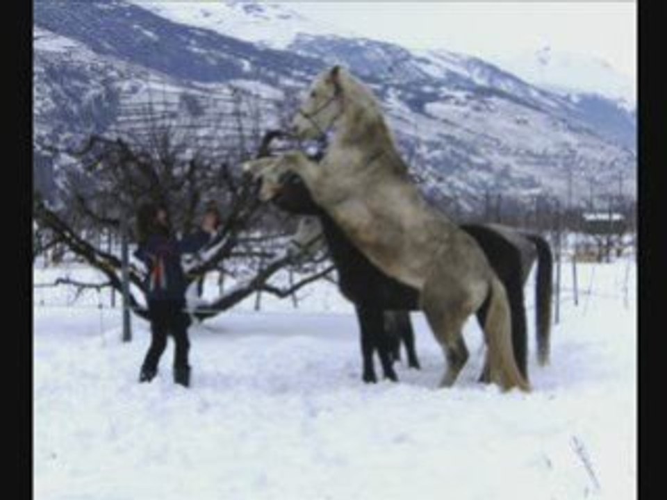 24janvier09_neige