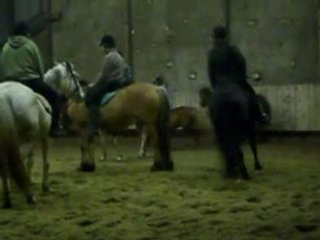 Le cours de 17h00 au galop
