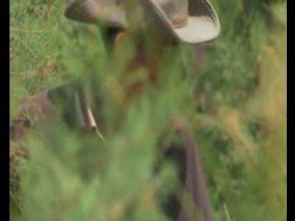 المملكة المغربية  Royaume du Maroc