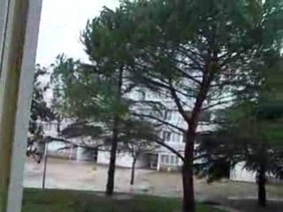 Tempête 2009 a CENON (Bordeaux) le lendemain à 10H30