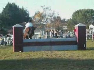 Equitation