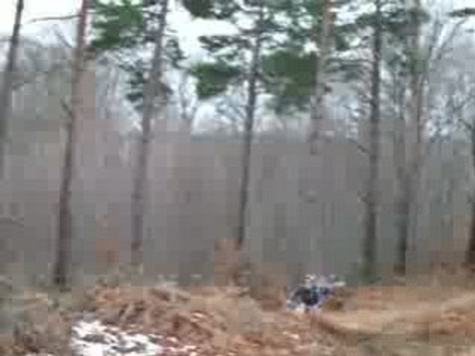 Terrain de marty 035