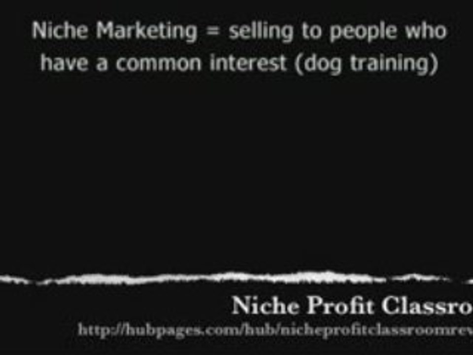Niche Profit Classroom Review