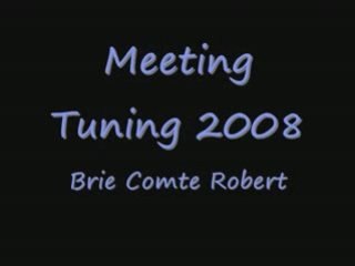 Meeting Brie Comte Robert 2008