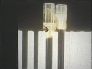 Food that kills - Part 1