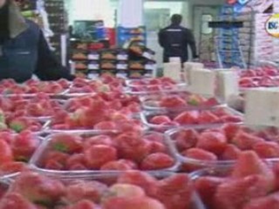 (TEASER) Découverte de RUNGIS BY ISG Tv