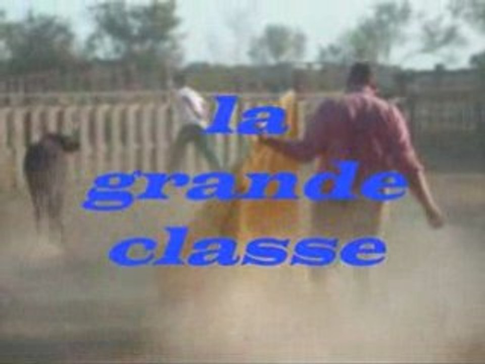 pérols manade lucia photos et vidéo tauromachi festival