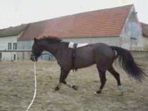 Longe Philou 25/01/2009