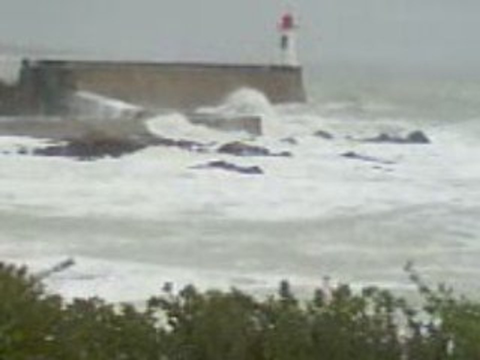 Tempête en Vendée. Janvier 2009