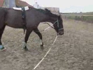 Longe philou 25/01/09(3)