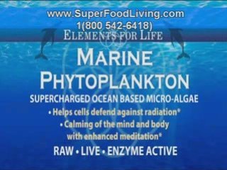 The Perfect Superfood, Hemp Seeds, Hemp Powder, and Hemp Oil
