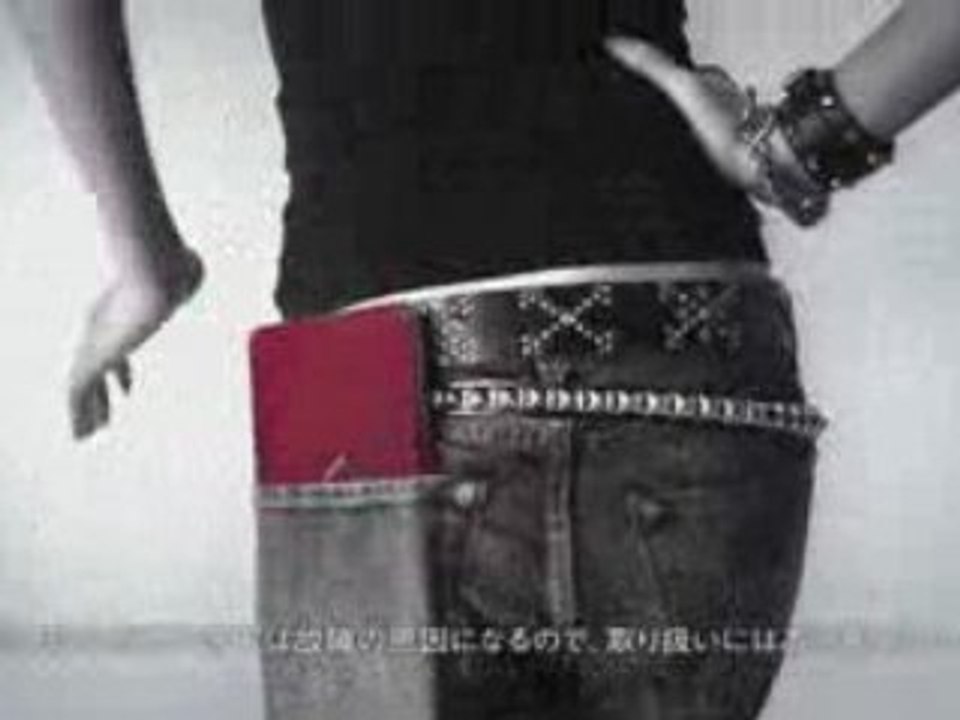 SONY VAIO VGN-P Series Type P Lifestyle PC 2