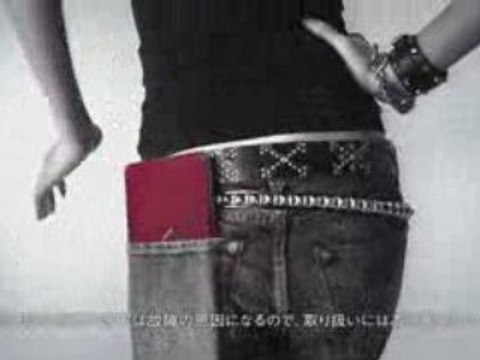 SONY VAIO VGN-P Series Type P Lifestyle PC 2