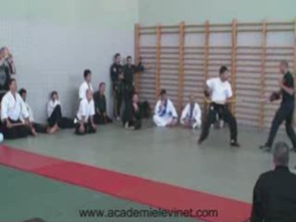 CANNE DEFENSE JACQUES LEVINET (CDJL) Part 6